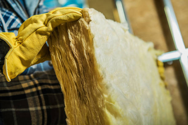 Best Residential Insulation in Exandria, AL